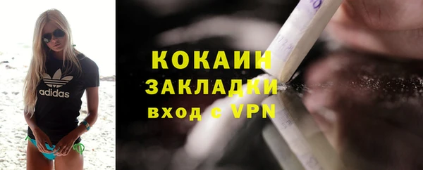 шишки Кулебаки