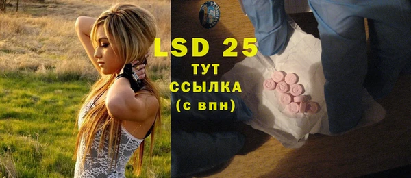 шишки Кулебаки