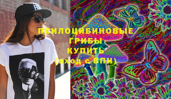 MDMA Краснослободск
