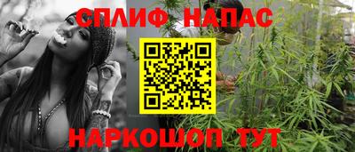 МДПВ Дубна