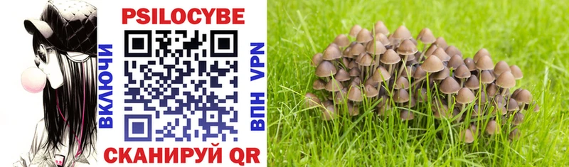 Псилоцибиновые грибы Cubensis  Малгобек 