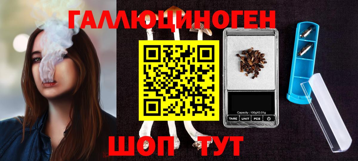 где купить наркоту  Галлюциногенные грибы мицелий  Вход с VPN  Малгобек 